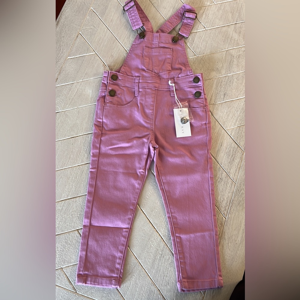 Jamie Kay Orchid Jordie overall 3T NWT
